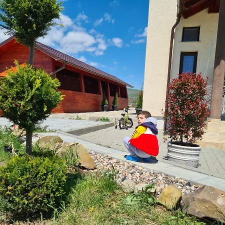 Pensiunea Ianalin Guest house