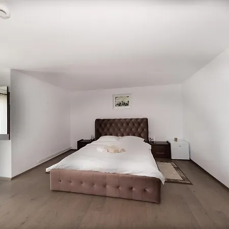 Pensiunea Ianalin Guest house Targu Trotus