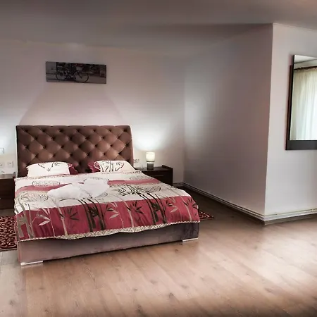 Pensiunea Ianalin Guest house Targu Trotus