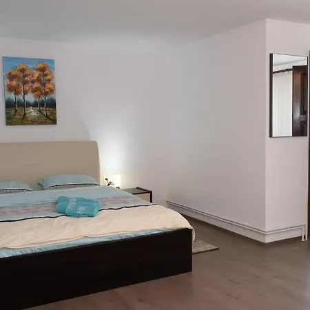Pensiunea Ianalin Guest house